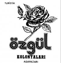 özgül