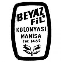 beyaz fil