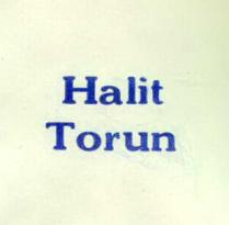 halit torun