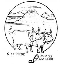 çift öküz asdağli kayişlari