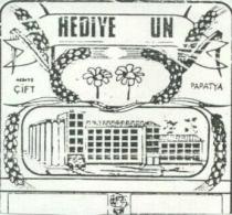 hediye papatya
