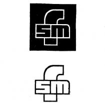 fsm