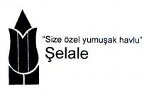 şelale 