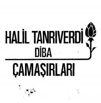 halil tanriverdi diba
