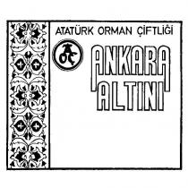 ankara altini aoç