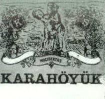 kş hacibektaş karahöyük