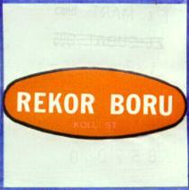 rekor boru