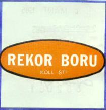 rekor boru