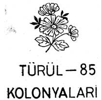 türül-85