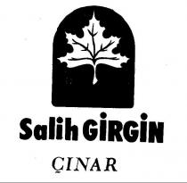 salih girgin çinar