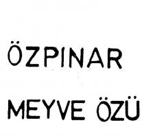 özpinar meyve özü