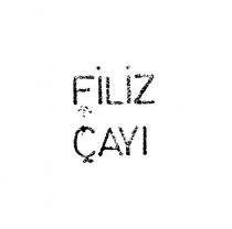 filiz