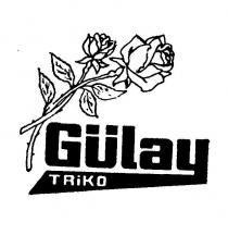 gülay triko