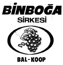 binboğa bal-kop üzüm şekli