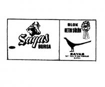 sayas altin sülün