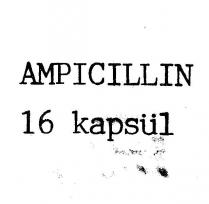 ampicillin 16 kapsül