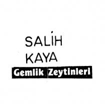 salih kaya gemlik