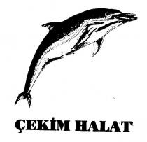 çekim halat