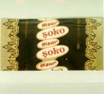 hisar şoko