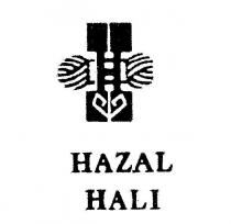 hazal hali