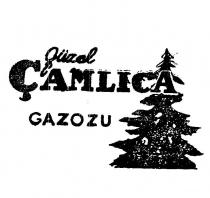 güzel çamlica gazozu