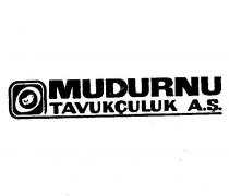 mudurnu tavukçuluk