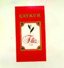 çaykur filiz lüks