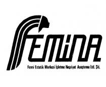 femina ve kadin başi şekli