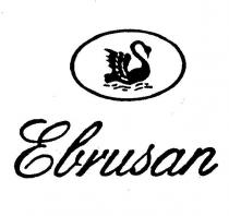 ebrusan ve kuğu şekli
