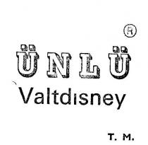 ünlü disneyland