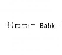 hasir balik