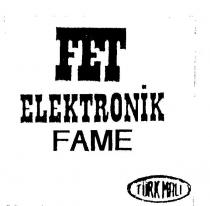 fet elektronik fame