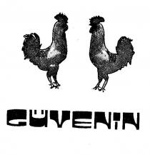 güvenin