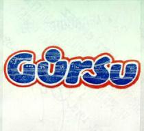 gürsu