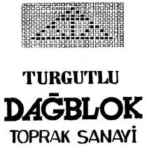 turgutlu dağ blok