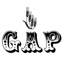 gap başak