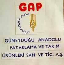 gap