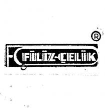 filiz çelik