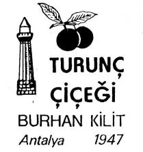 turunç çiçeği