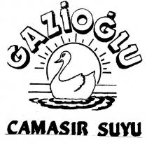 gazioğlu