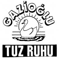 gazioğlu