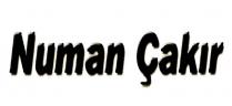 numan çakır