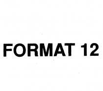 format 12