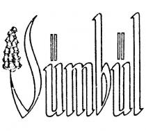 sümbül