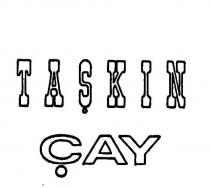 taşkin
