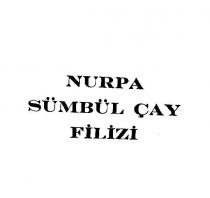 nurpa sümbül filizi