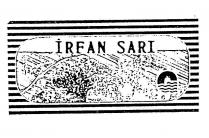 irfan sari
