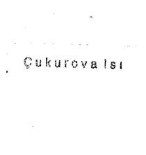 çukurovaisi