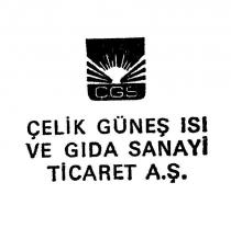 çelik çgs