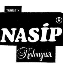 turistik nasip
